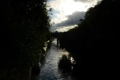 DSC_2696 (Large).JPG